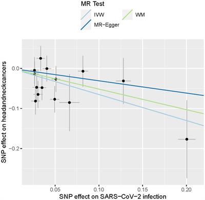 Genetic predisposition to milder forms of COVID-19 may provide some resilience to head and neck cancers
